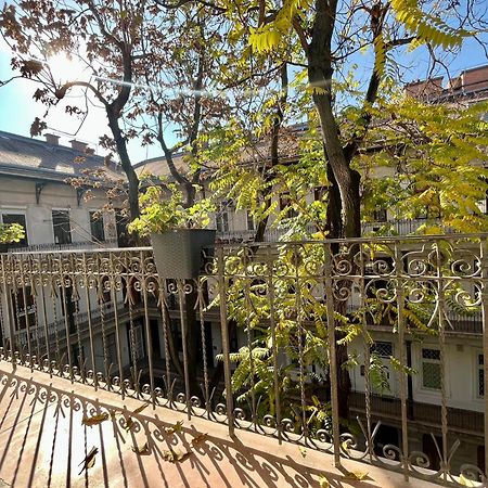Brand New Sunny Apartment On Andrassy Street ブダペスト エクステリア 写真